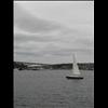 IMG_6739
3/21/2007 2:59:13 PM